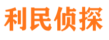 城子河市侦探调查公司